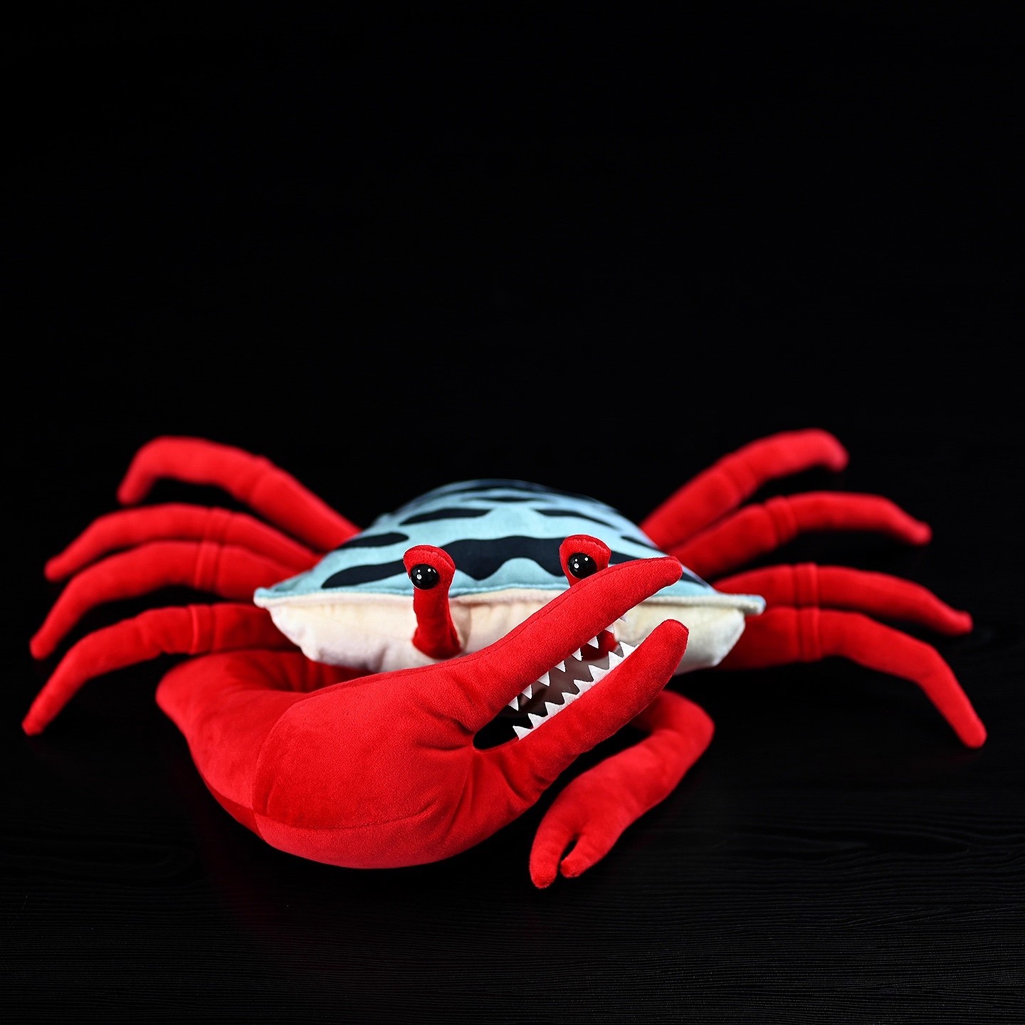 Aquarium Marine Park - Krab Uca z czerwonymi pazurami, krab