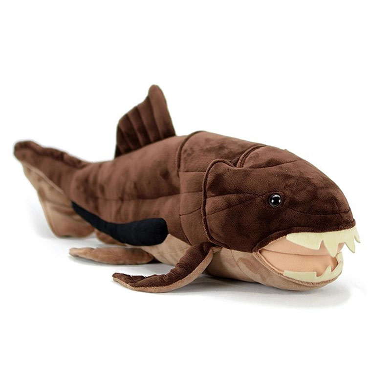 Aquarium Marine Park - Dunkleosteus terrelli Dunkle Ryba Morze Ocean
