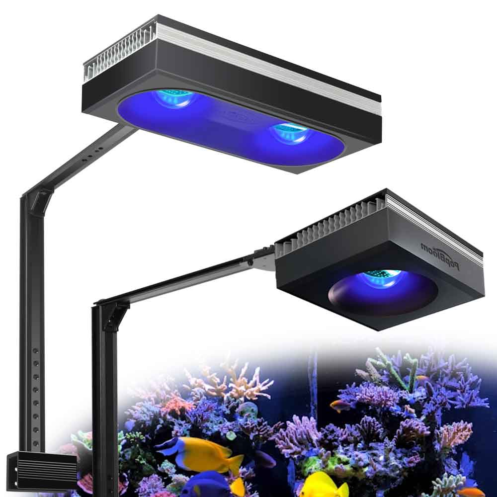 PopBloom RL90/RL180 WiFi oświe – Marine X Aquarium recenzja i cena
