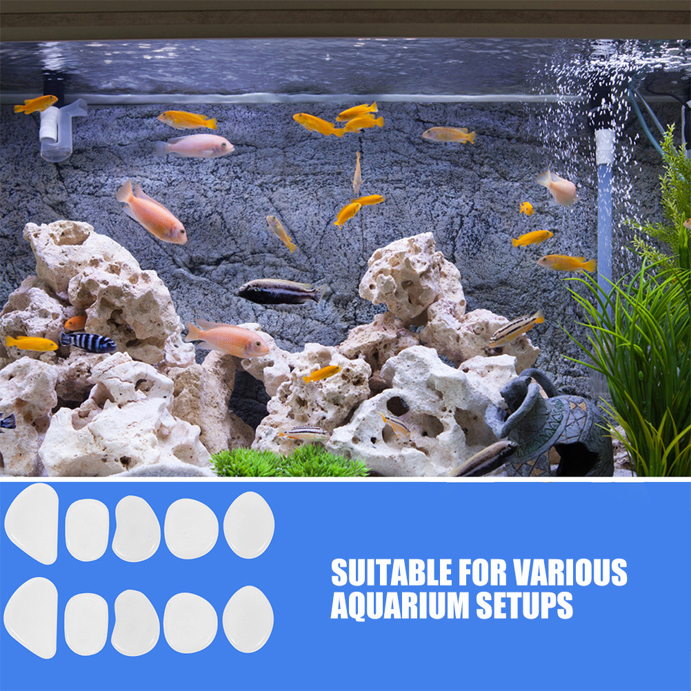 300 sztuk świecących kamieni z – Aquarium Marine Rock recenzja i cena