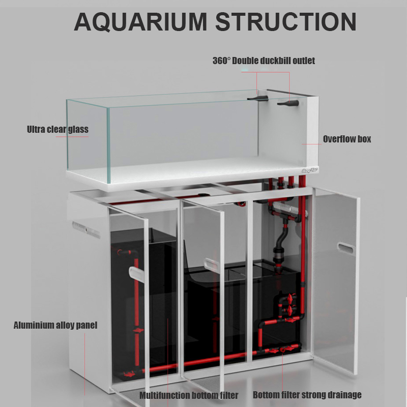 Duże, nowoczesne akwarium szkl – Aquarium Marine Fish For Sale recenzja i cena