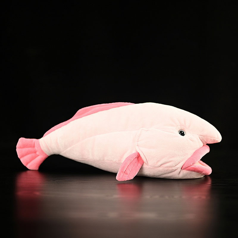 Symulowane zwierzę Blobfish Se – Aquarium Marine Park recenzja i cena