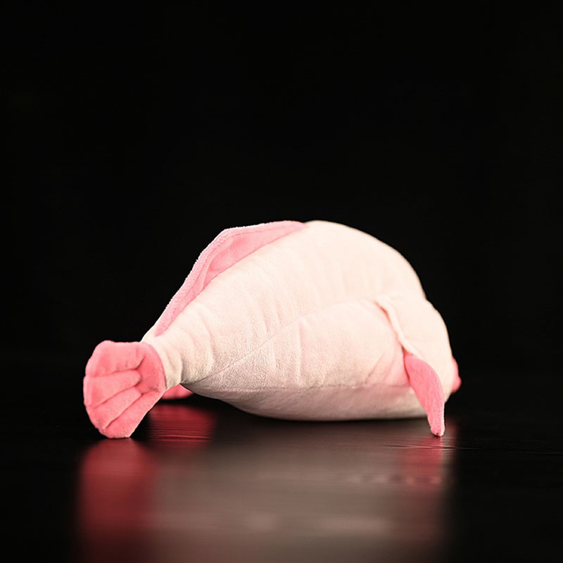 Symulowane zwierzę Blobfish Se – Aquarium Marine Park recenzja i cena