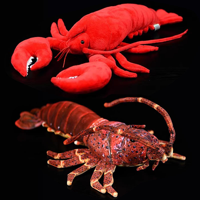 Symulowany Zwierzak Australia  – Aquarium Marine Park recenzja i cena