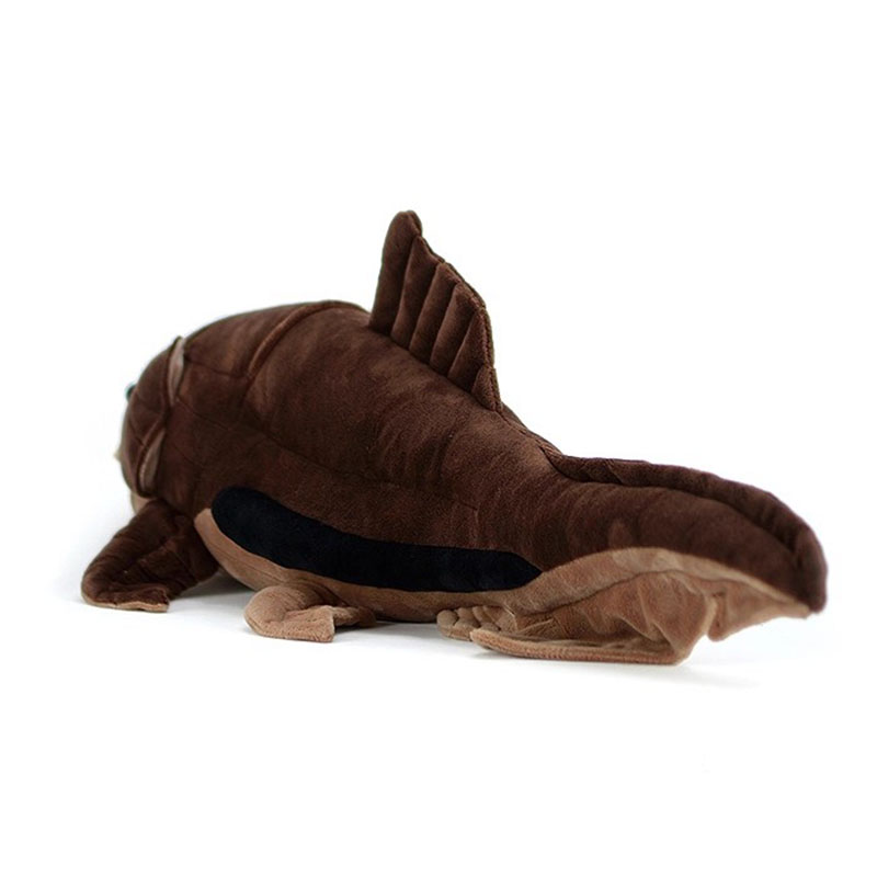 Dunkleosteus terrelli Dunkle R – Aquarium Marine Park recenzja i cena