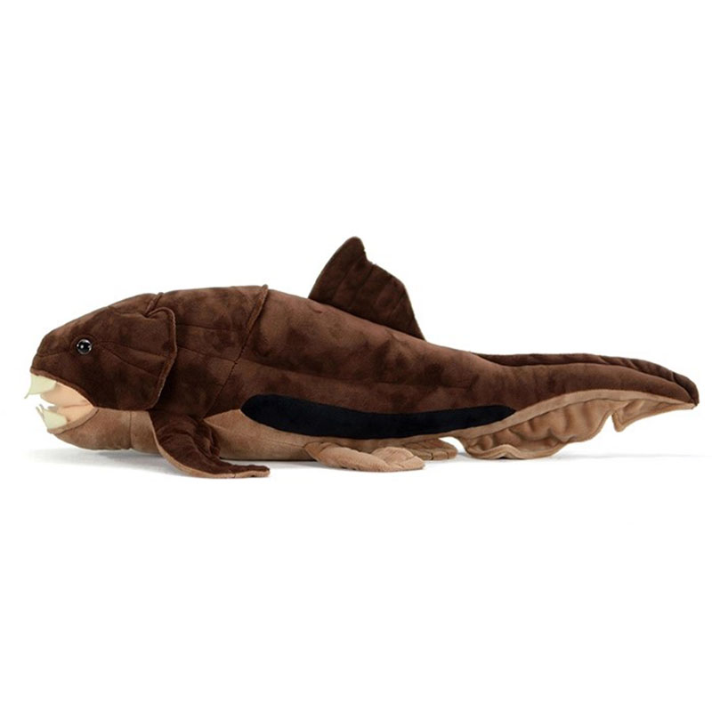 Dunkleosteus terrelli Dunkle R – Aquarium Marine Park recenzja i cena