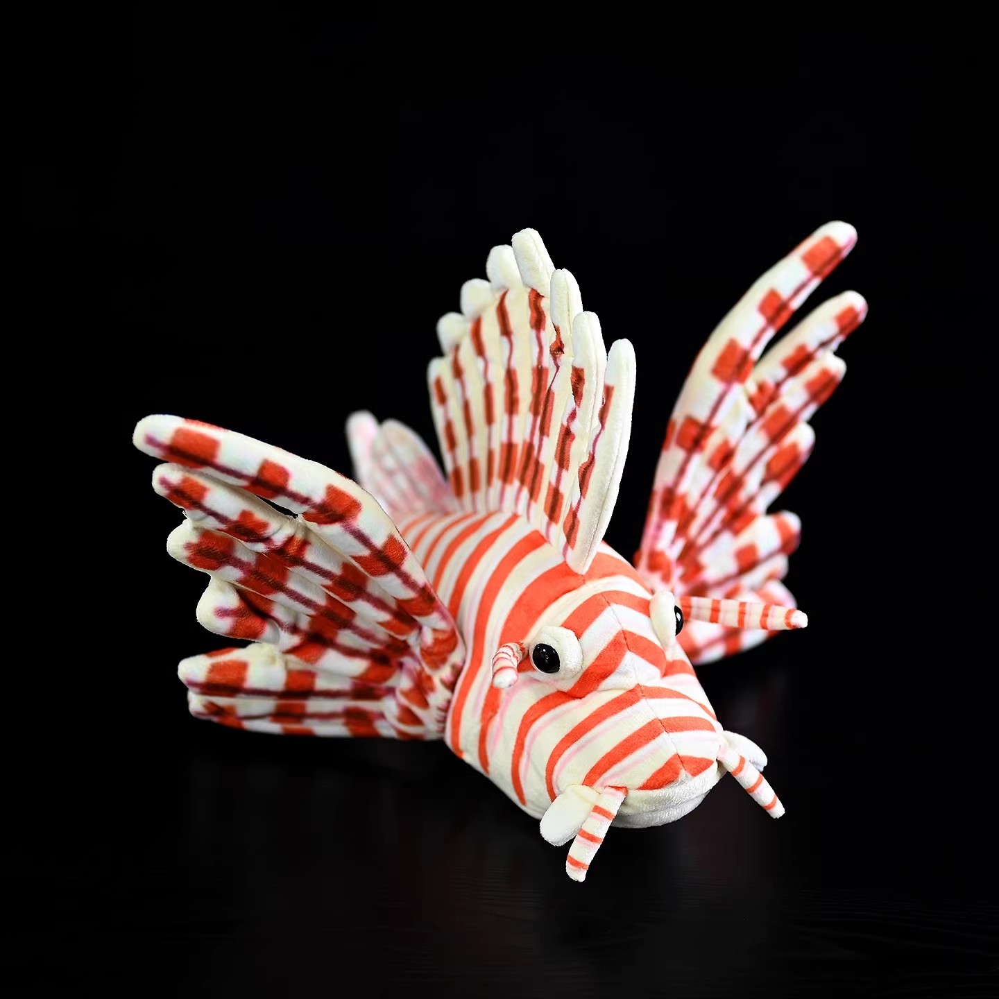 Pterois Volitans Ryba z Rafa K – Aquarium Marine Park recenzja i cena