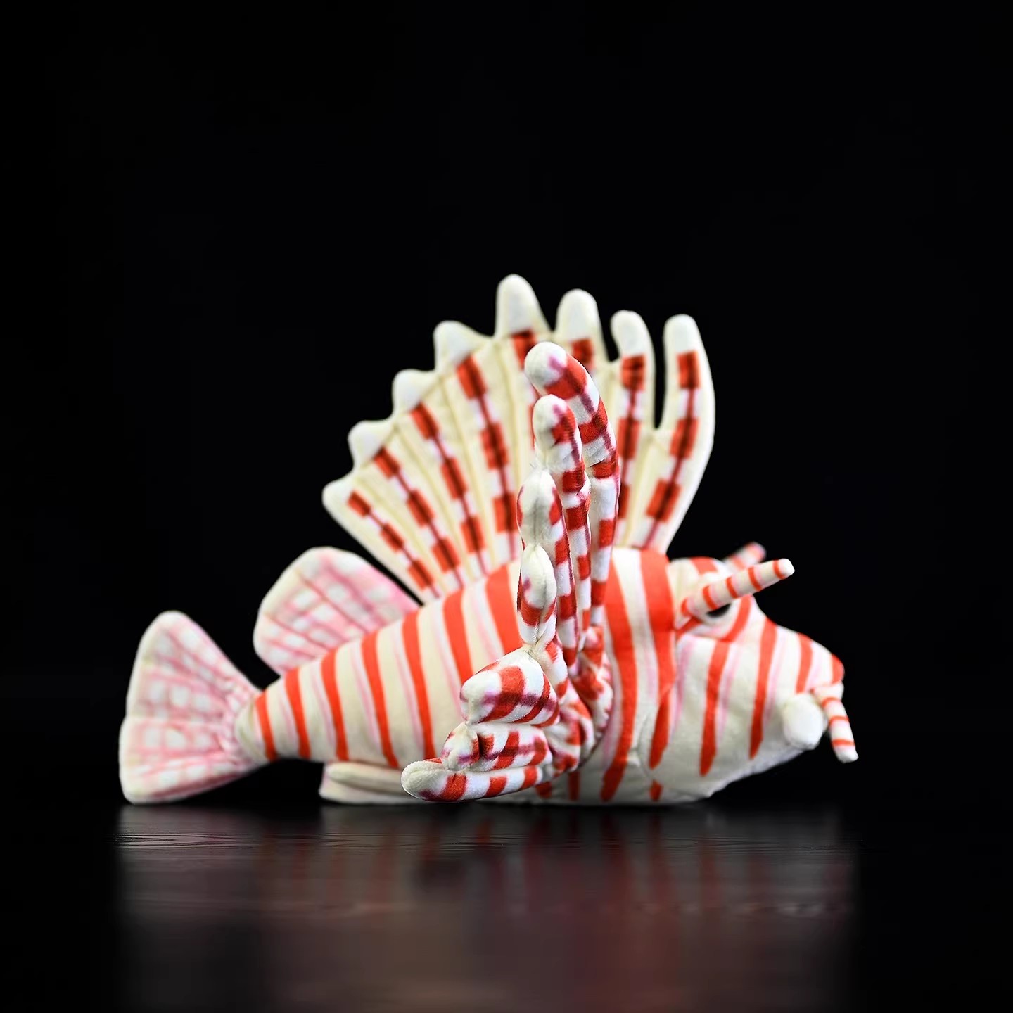 Pterois Volitans Ryba z Rafa K – Aquarium Marine Park recenzja i cena
