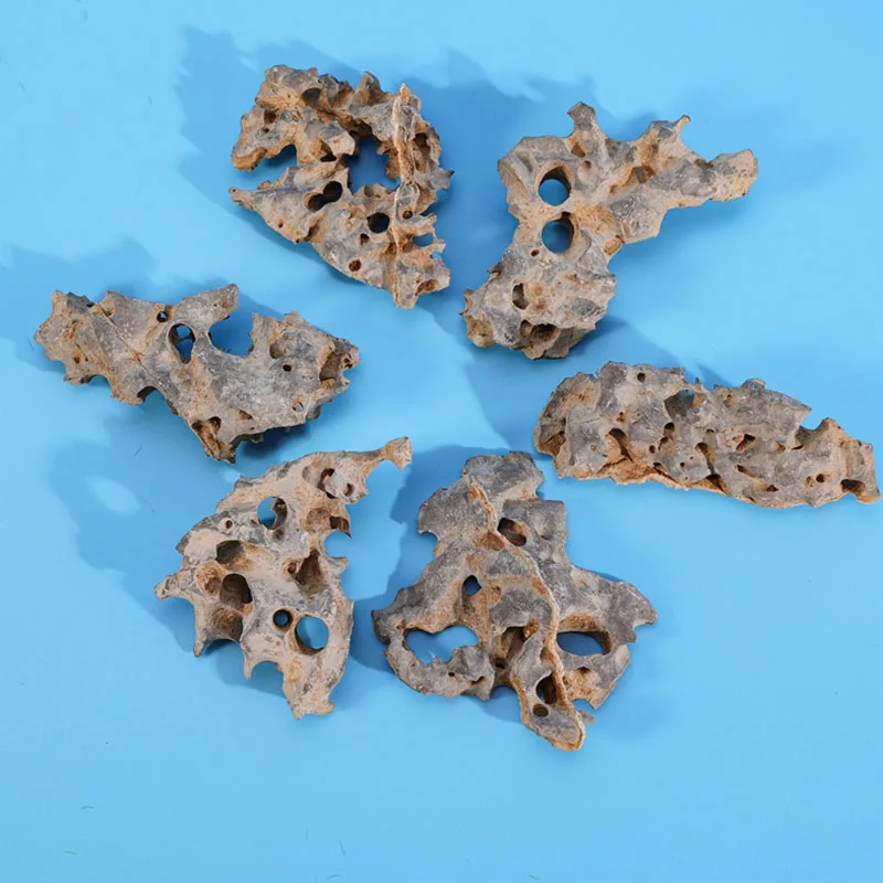 1 szt. 4-6 cm Naturalny wystró – Aquarium Marine Rock recenzja i cena