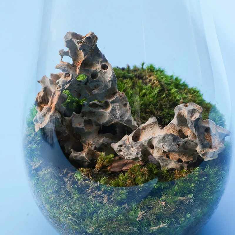 1 szt. 4-6 cm Naturalny wystró – Aquarium Marine Rock recenzja i cena