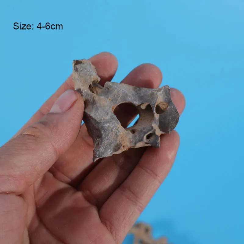 1 szt. 4-6 cm Naturalny wystró – Aquarium Marine Rock recenzja i cena