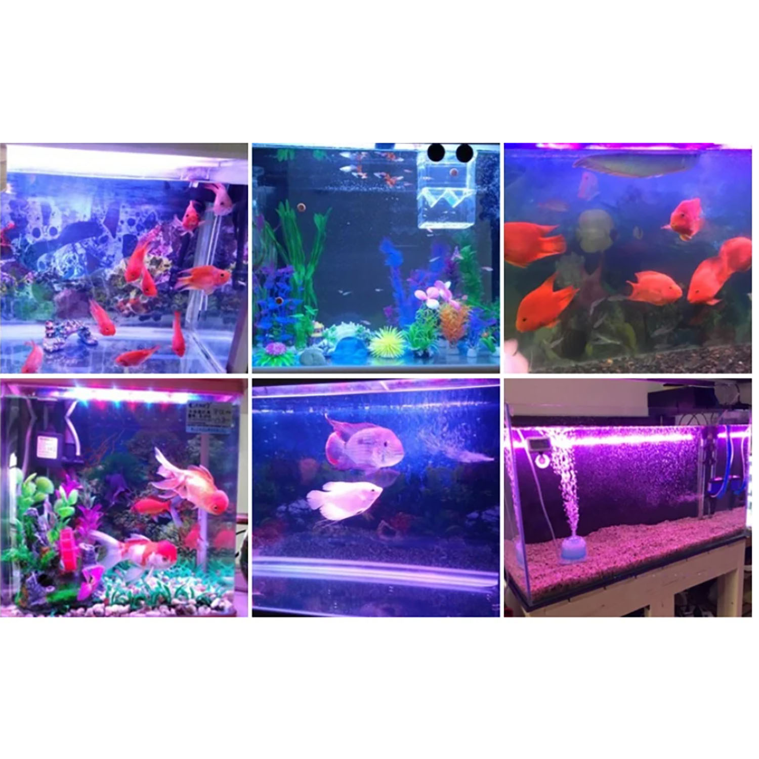 50W 60W 70W 100W RGB 26-28V Wy – Marine Aquarium Uv Light recenzja i cena