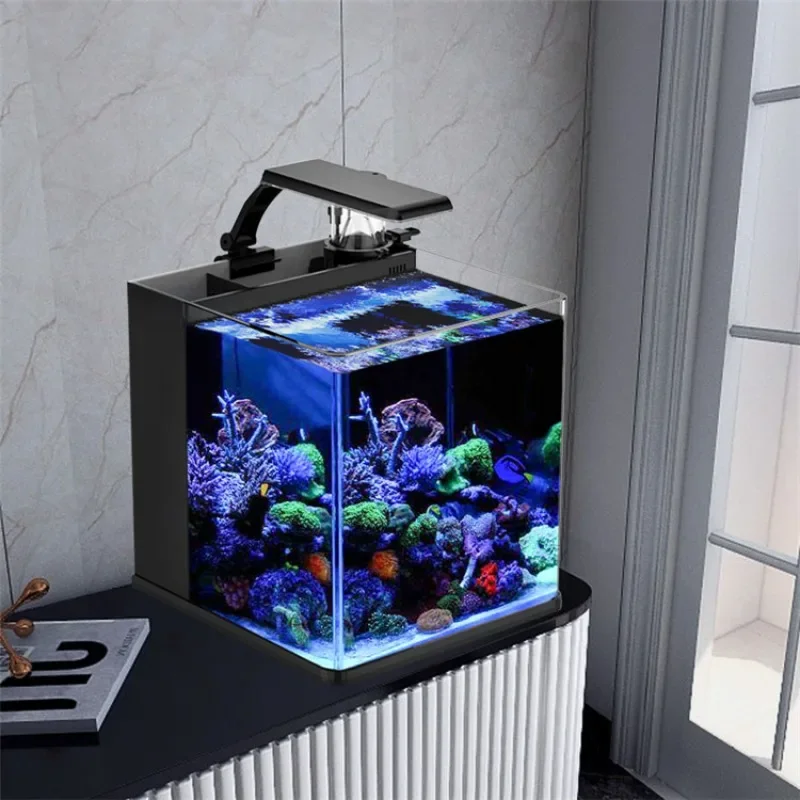 Gorąca wyprzedaż: Ultra Przezr – Aquarium Marine Fish For Sale recenzja i cena