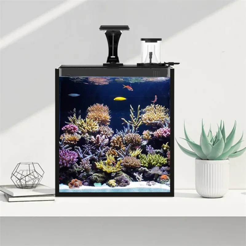 Gorąca wyprzedaż: Ultra Przezr – Aquarium Marine Fish For Sale recenzja i cena