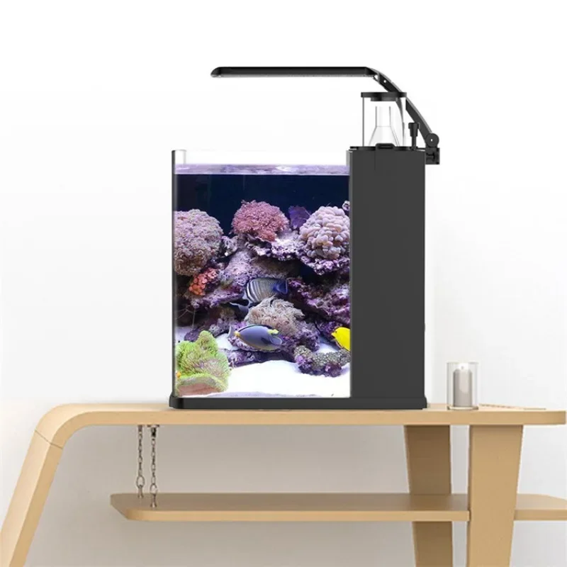 Gorąca wyprzedaż: Ultra Przezr – Aquarium Marine Fish For Sale recenzja i cena