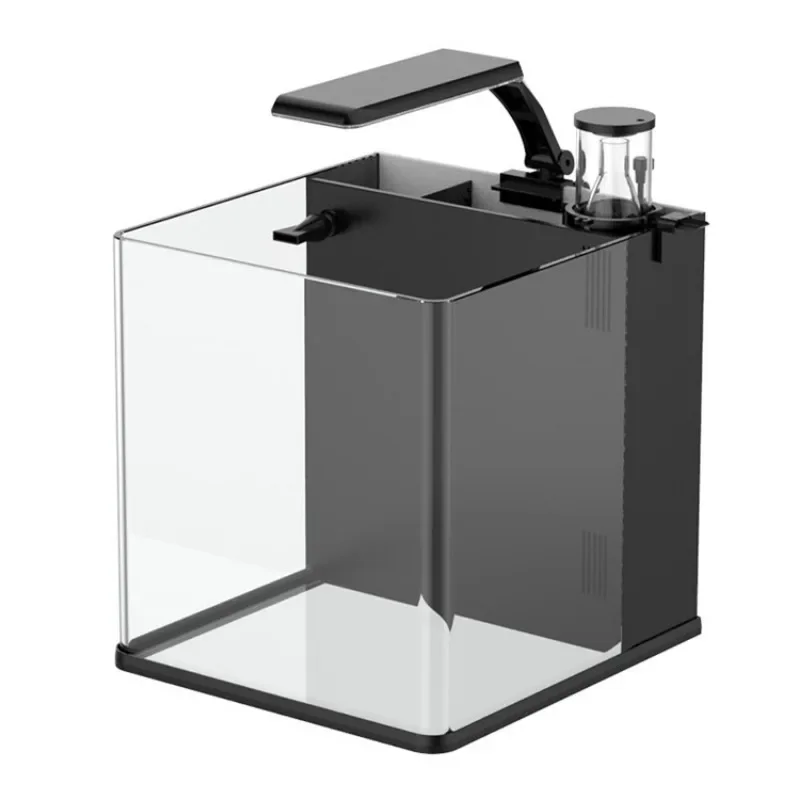 Gorąca wyprzedaż: Ultra Przezr – Aquarium Marine Fish For Sale recenzja i cena